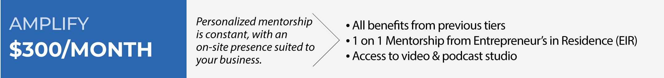 Amplify Membership: $300 per month. All benefits from previous tiers, 1 on 1 mentorship from Entrepreneur's in Residence (EIR), access to video and podcast studio. 